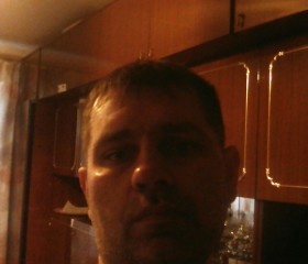 ярослав, 46 лет, Донской (Тула)