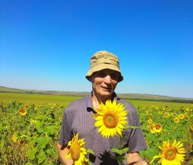 Владимир, 65 лет, Оренбург