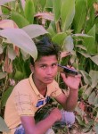 Ravi Kumar, 20 лет, Godhra
