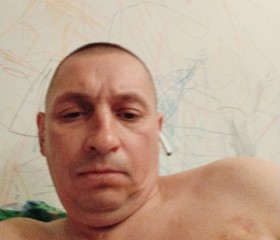 Дима, 44 года, Барнаул
