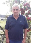 Антон, 66 лет, Мукачеве