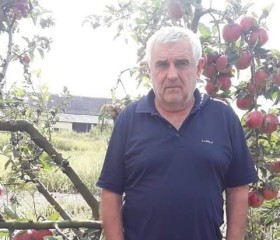 Антон, 67 лет, Мукачеве