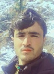 Arshad, 18 лет, پشاور
