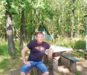 Борис, 54 года, Тольятти