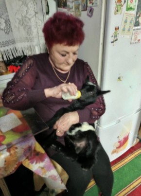 Наталья, 59, Россия, Краснокаменск