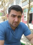 Mahir, 39  , Baku