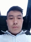 Alpha Börü, 26 лет, Бишкек