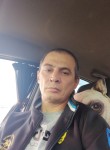 Темур - Курск