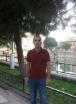 omar, 38 лет, Amasya