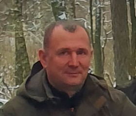 Александр, 42 года, Горад Мінск