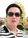 Hoanghai, 33 года, Thành Phố Ninh Bình