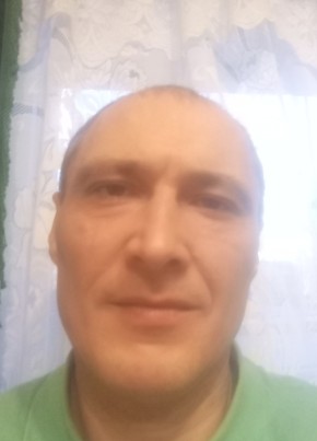 Аркадий, 43, Россия, Выша