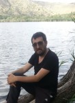 serdar, 36 лет, Türkeli