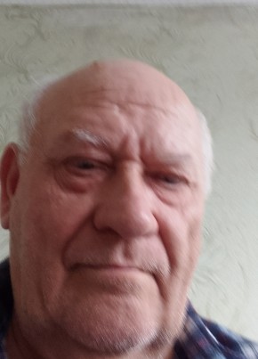 Станислав, 70, Україна, Веселе