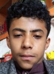 محمد, 18 лет, صنعاء