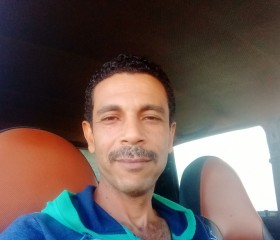 نور, 42, Alexandria