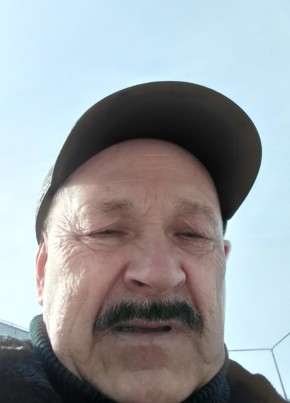 Вольдомар, 58, Россия, Кондопога