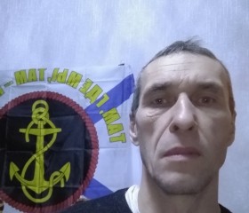 Сергей, 52 года, Шатурторф