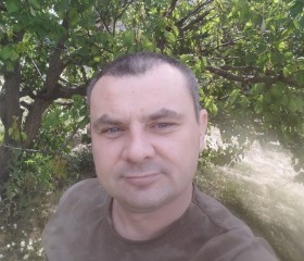 Aleksandr, 37, Brest