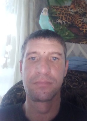 Андрей, 40, Россия, Саранск