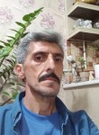 Vahid, 44 года, کرمان