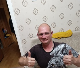 Денис Поляков, 39 лет, Новокузнецк