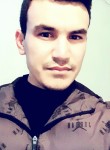 smart boy, 26 лет, Toshkent