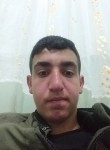 Ali, 19 лет, Kızıltepe