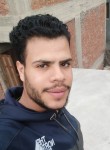 بن الأكابر, 21, Alexandria