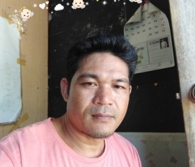 Robert, 39 лет, Roxas City