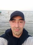 Роман, 41 год, Таганрог