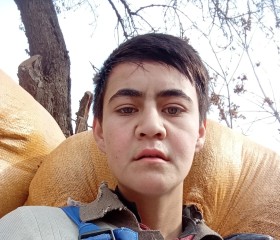 Восид, 19 лет, Шаҳритус