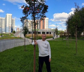 Александр, 39 лет, Москва