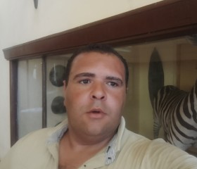 كريم, 35, Alexandria