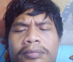 XB, 23, Bengkulu