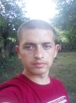 Андрей, 29 лет, Димитров