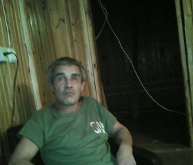 Сергей Топаев, 49 лет, Лаишево