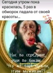 Открыть в полном размере