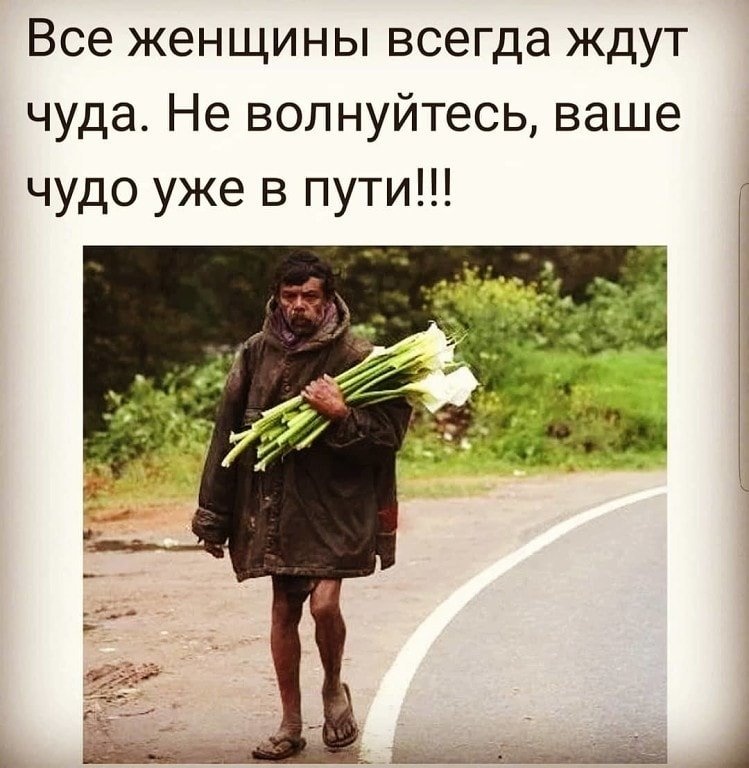 Картинки всегда к вашим услугам