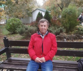 Владимир, 64 года, Таганрог