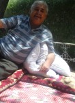 Седой, 73 года, Душанбе