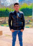 محمود ابراهيم, 24 года, كفر صقر