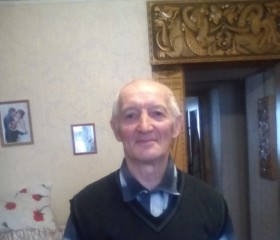 Евгений, 74 года, Нижний Новгород