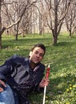 Reza, 37 лет, تِهران