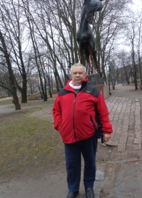 сергей, 68, Россия, Санкт-Петербург