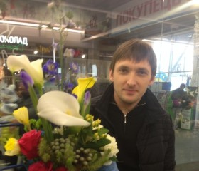 Александр, 42 года, Васильків