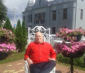 Степан, 66 лет, Верхнеднепровский