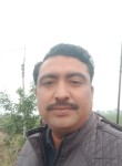 Rajan Thakur, 30 лет, Indore