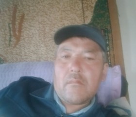 Ермек Ожанов, 44 года, Көкшетау