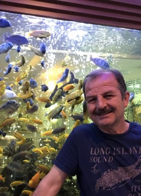 orhan, 57, Turkey, Denizli